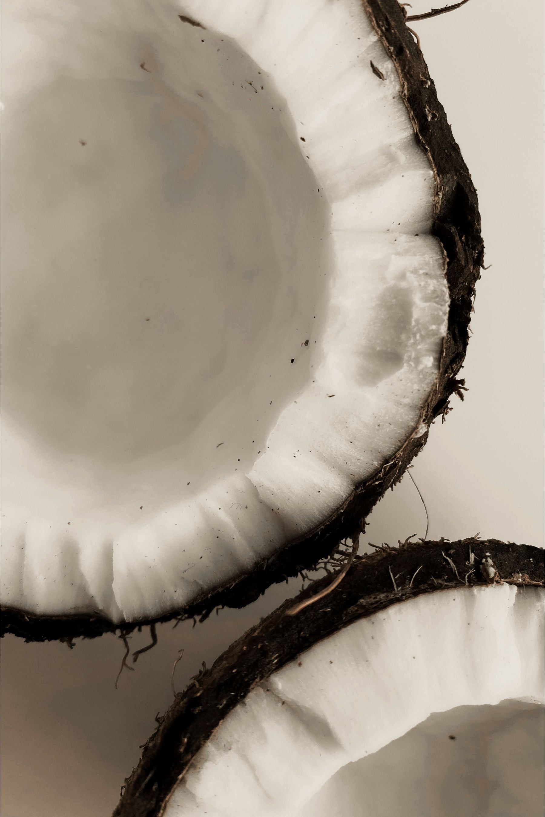 Coco Sense Organic Coconut Body Cream