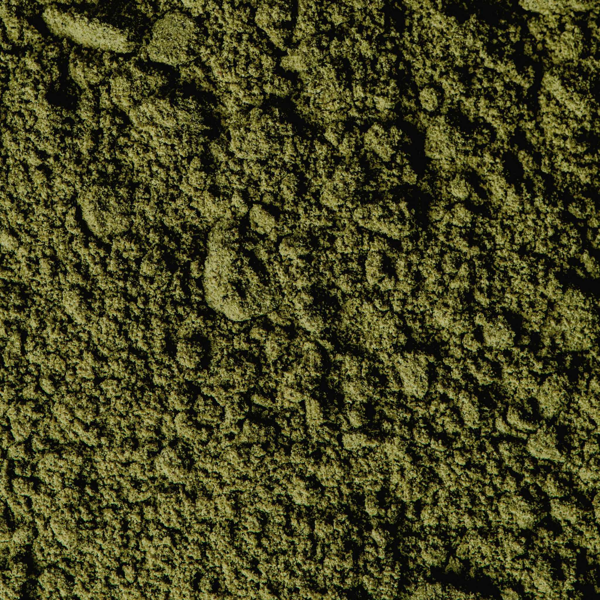 Coco Sense Organic Anti-Age Face Cream