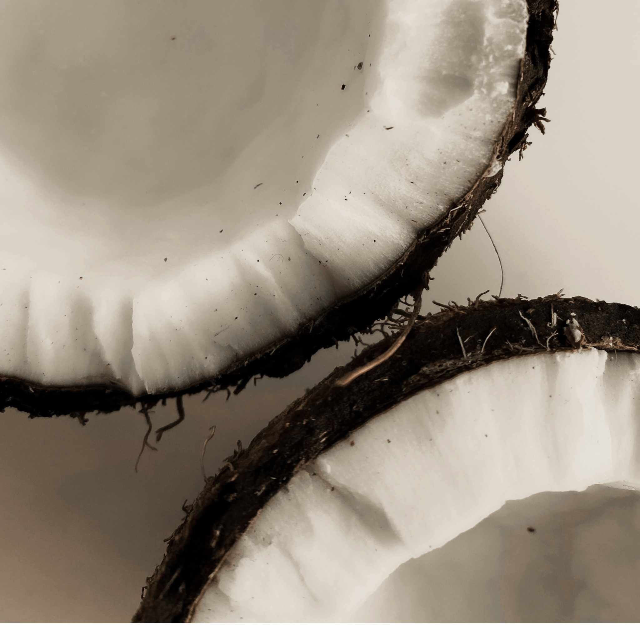 Coco Sense Organic Coconut Body Cream